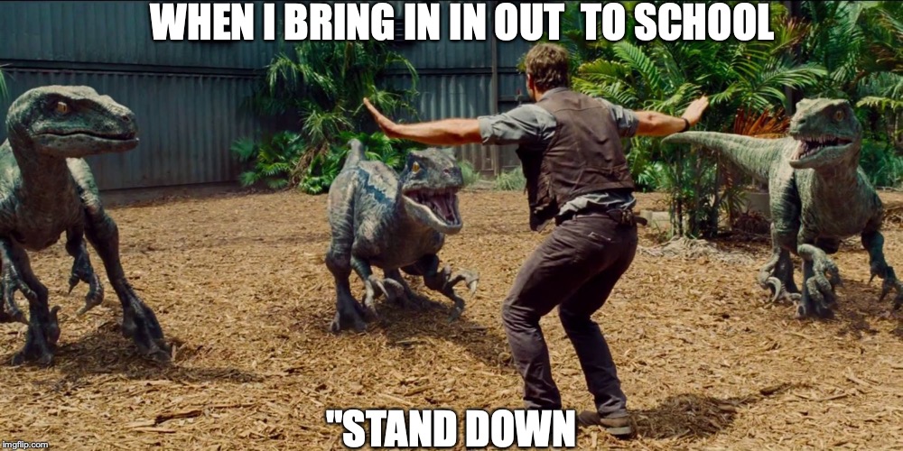 Jurassic park raptor | WHEN I BRING IN IN OUT  TO SCHOOL; "STAND DOWN | image tagged in jurassic park raptor | made w/ Imgflip meme maker