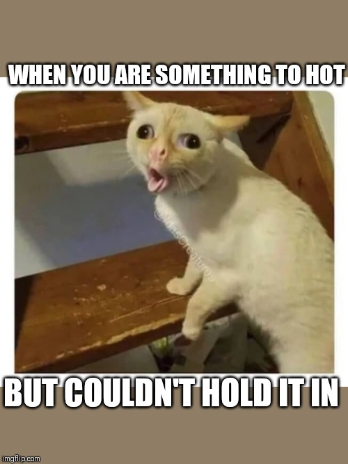 Coughing Cat | WHEN YOU ARE SOMETHING TO HOT; BUT COULDN'T HOLD IT IN | image tagged in coughing cat | made w/ Imgflip meme maker