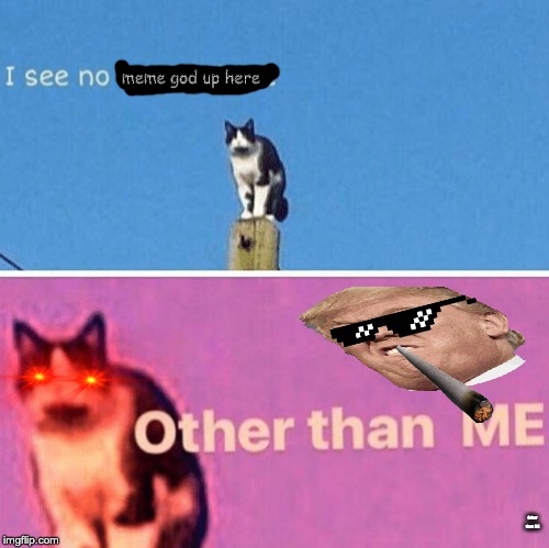 Hail pole cat | meme god up here; Other than ME | image tagged in hail pole cat | made w/ Imgflip meme maker