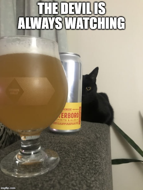 Devil came down to your house lookin for a soul to steal..... | THE DEVIL IS ALWAYS WATCHING | image tagged in evil cat | made w/ Imgflip meme maker