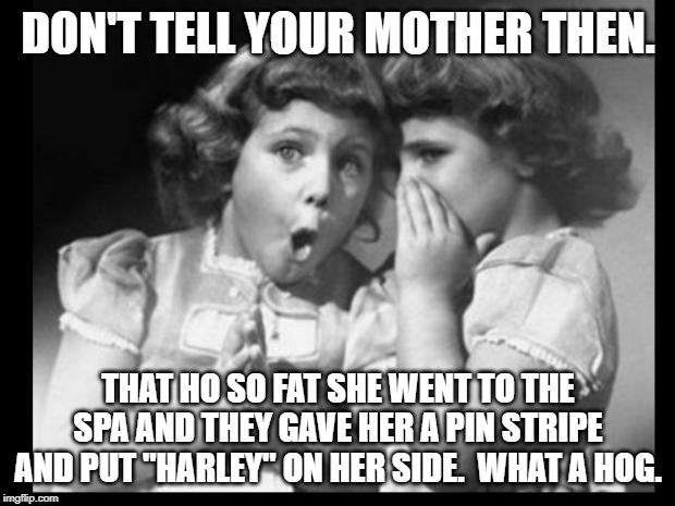 Friends sharing | DON'T TELL YOUR MOTHER THEN. THAT HO SO FAT SHE WENT TO THE SPA AND THEY GAVE HER A PIN STRIPE AND PUT "HARLEY" ON HER SIDE.  WHAT A HOG. | image tagged in friends sharing | made w/ Imgflip meme maker