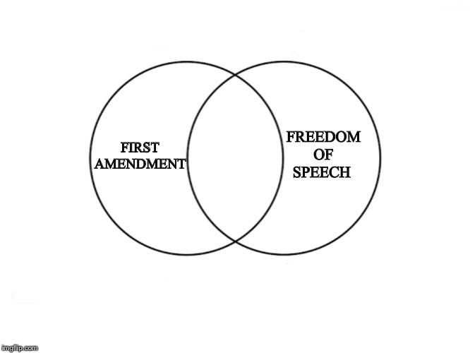 Venn diagram | FREEDOM OF SPEECH; FIRST
 AMENDMENT | image tagged in venn diagram | made w/ Imgflip meme maker