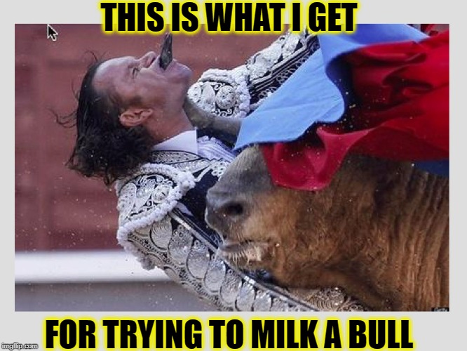Bull fighting gone wrong | THIS IS WHAT I GET; FOR TRYING TO MILK A BULL | image tagged in bull fighting gone wrong | made w/ Imgflip meme maker