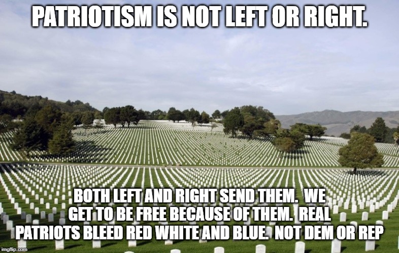 Arlington National Cemetery | PATRIOTISM IS NOT LEFT OR RIGHT. BOTH LEFT AND RIGHT SEND THEM.  WE GET TO BE FREE BECAUSE OF THEM.  REAL PATRIOTS BLEED RED WHITE AND BLUE. | image tagged in arlington national cemetery | made w/ Imgflip meme maker