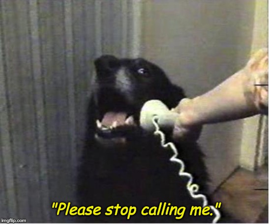 Dog on the phone: Doggo week 1/12-1/19, a TheMEMEgrebe event | "Please stop calling me." | image tagged in yes this is dog,doggo week | made w/ Imgflip meme maker