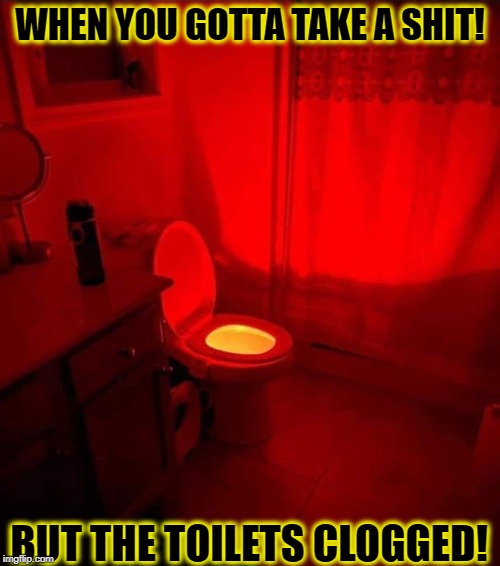 WHEN YOU GOTTA TAKE A SHIT! BUT THE TOILETS CLOGGED! | image tagged in toilet humor,hell | made w/ Imgflip meme maker