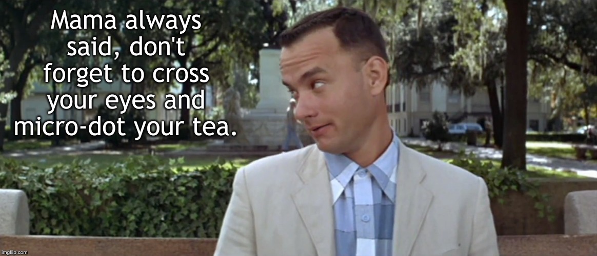 Forest Gump | Mama always said, don't forget to cross your eyes and micro-dot your tea. | image tagged in forest gump | made w/ Imgflip meme maker