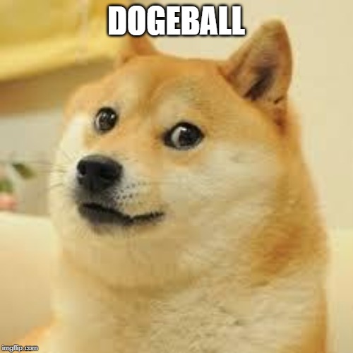 DOGEBALL | image tagged in square doge | made w/ Imgflip meme maker