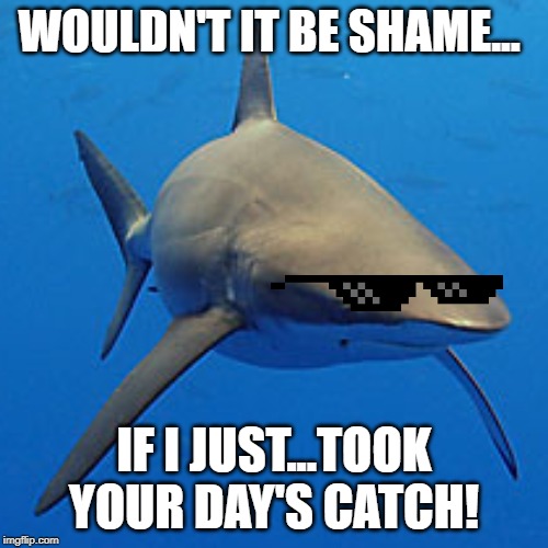 Spearfishing Meme | WOULDN'T IT BE SHAME... IF I JUST...TOOK YOUR DAY'S CATCH! | image tagged in spearfishing,taxman,diving,snorkeling | made w/ Imgflip meme maker