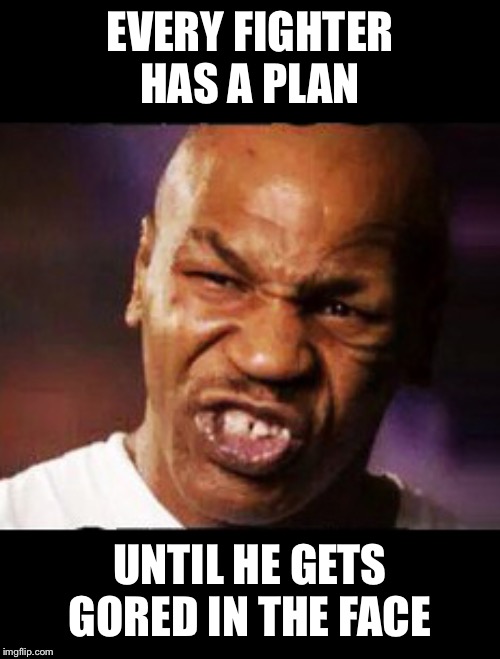 mike tyson | EVERY FIGHTER HAS A PLAN UNTIL HE GETS GORED IN THE FACE | image tagged in mike tyson | made w/ Imgflip meme maker