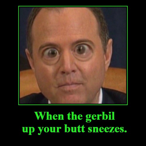 When the gerbil up your butt sneezes | When the gerbil up your butt sneezes. | | image tagged in funny,demotivationals,adam schiff,gerbils,bug eyes,gay jokes | made w/ Imgflip demotivational maker