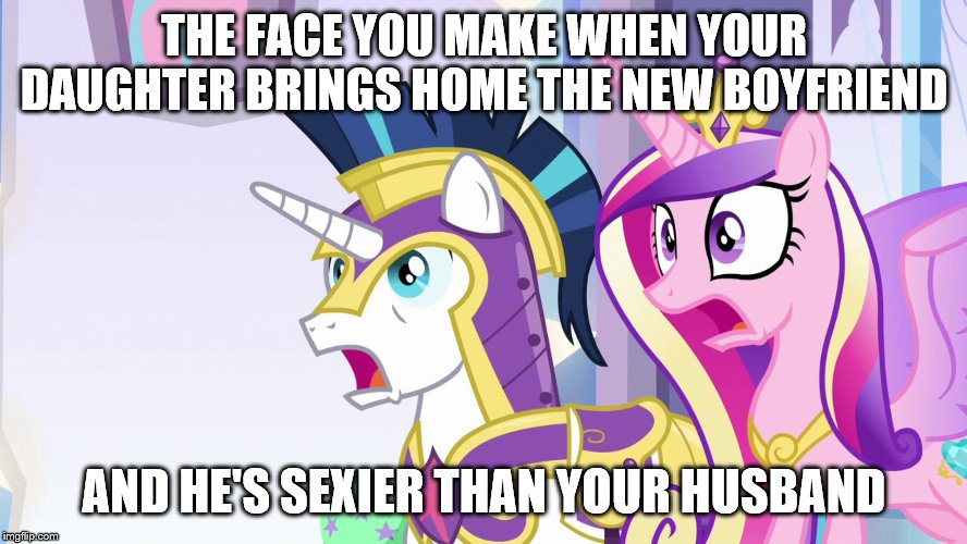 THE FACE YOU MAKE WHEN YOUR DAUGHTER BRINGS HOME THE NEW BOYFRIEND; AND HE'S SEXIER THAN YOUR HUSBAND | image tagged in mlp,mlp fim,mlp meme,mlp wtf | made w/ Imgflip meme maker