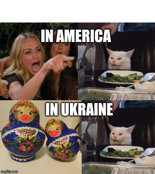 IN AMERICA; IN UKRAINE | image tagged in memes,woman yelling at cat | made w/ Imgflip meme maker