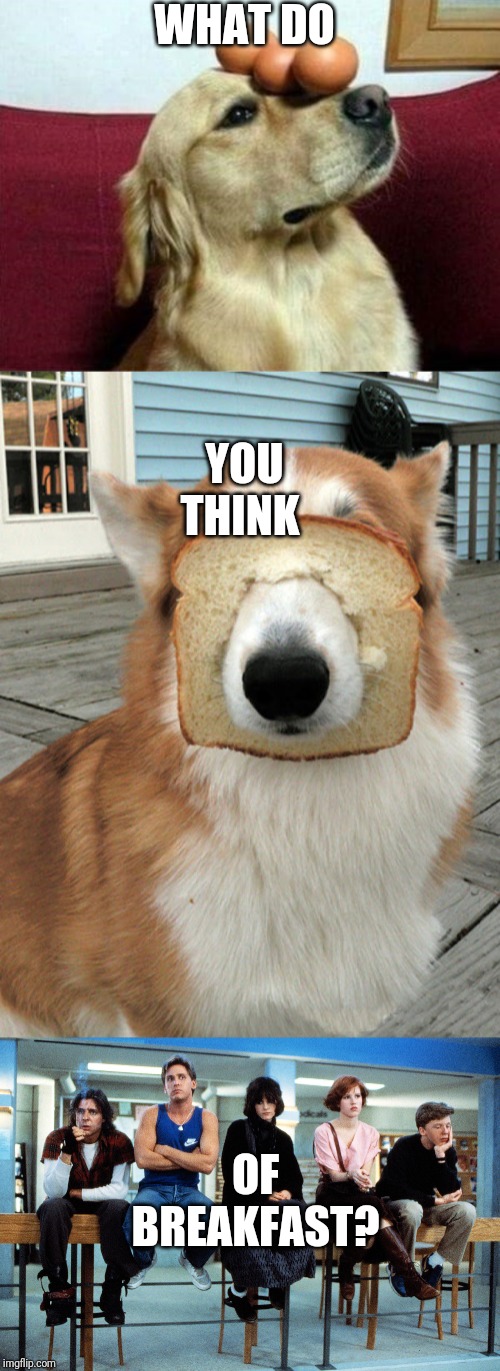 WHAT DO; YOU THINK; OF BREAKFAST? | image tagged in breakfast club,doggo of balance,breakfast doggo | made w/ Imgflip meme maker