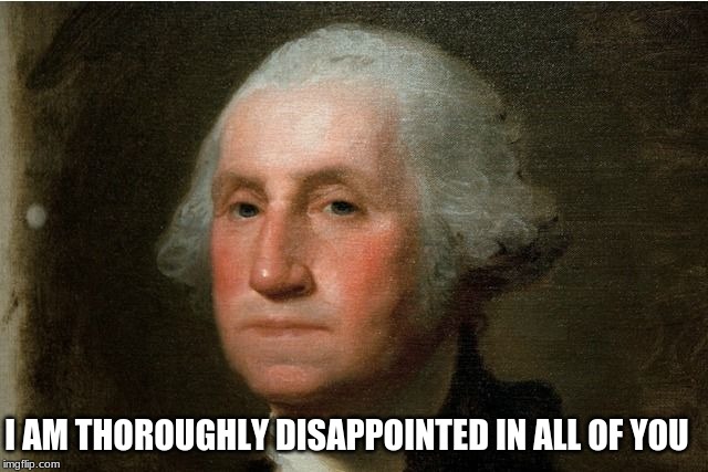 George "Had One Job" Washington | I AM THOROUGHLY DISAPPOINTED IN ALL OF YOU | image tagged in libertarian,libertarianism,rights,bill of rights,2nd amendment | made w/ Imgflip meme maker