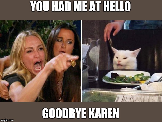 Smudge the cat | YOU HAD ME AT HELLO; GOODBYE KAREN | image tagged in smudge the cat | made w/ Imgflip meme maker