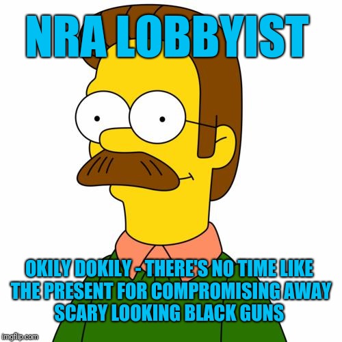 Ned Flanders | NRA LOBBYIST; OKILY DOKILY - THERE'S NO TIME LIKE 
THE PRESENT FOR COMPROMISING AWAY
SCARY LOOKING BLACK GUNS | image tagged in ned flanders | made w/ Imgflip meme maker