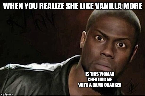 Kevin Hart Meme | WHEN YOU REALIZE SHE LIKE VANILLA MORE IS THIS WOMAN CHEATING ME WITH A DAMN CRACKER | image tagged in memes,kevin hart | made w/ Imgflip meme maker