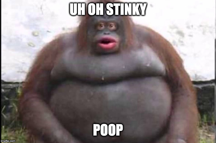 stinky | UH OH STINKY POOP | image tagged in stinky | made w/ Imgflip meme maker