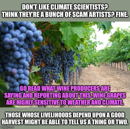 Don’t want to listen to the scientists? Listen to the vintners. | DON’T LIKE CLIMATE SCIENTISTS? THINK THEY’RE A BUNCH OF SCAM ARTISTS? FINE. GO READ WHAT WINE PRODUCERS ARE SAYING AND REPORTING ABOUT THIS. WINE GRAPES ARE HIGHLY SENSITIVE TO WEATHER AND CLIMATE. THOSE WHOSE LIVELIHOODS DEPEND UPON A GOOD HARVEST MIGHT BE ABLE TO TELL US A THING OR TWO. | image tagged in vineyard,wine,climate change,climate,global warming,scientists | made w/ Imgflip meme maker