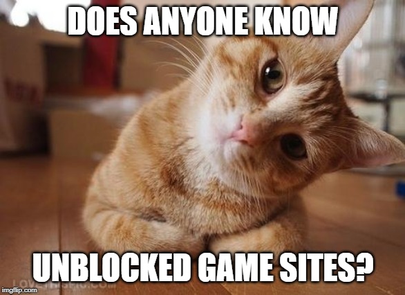 Curious Question Cat | DOES ANYONE KNOW; UNBLOCKED GAME SITES? | image tagged in curious question cat | made w/ Imgflip meme maker