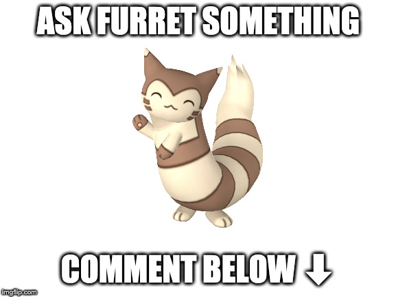 Blank White Template | ASK FURRET SOMETHING; COMMENT BELOW ⬇ | image tagged in blank white template | made w/ Imgflip meme maker