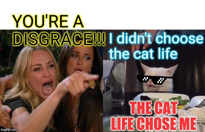Woman Yelling At Cat Meme | YOU'RE A DISGRACE!!! I didn't choose the cat life; THE CAT LIFE CHOSE ME | image tagged in memes,woman yelling at cat | made w/ Imgflip meme maker
