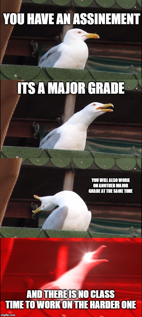 Inhaling Seagull | YOU HAVE AN ASSINEMENT; ITS A MAJOR GRADE; YOU WILL ALSO WORK ON ANOTHER MAJOR GRADE AT THE SAME TIME; AND THERE IS NO CLASS TIME TO WORK ON THE HARDER ONE | image tagged in memes,inhaling seagull | made w/ Imgflip meme maker