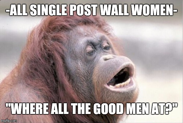 Monkey OOH | -ALL SINGLE POST WALL WOMEN-; "WHERE ALL THE GOOD MEN AT?" | image tagged in memes,monkey ooh,MGTOW | made w/ Imgflip meme maker