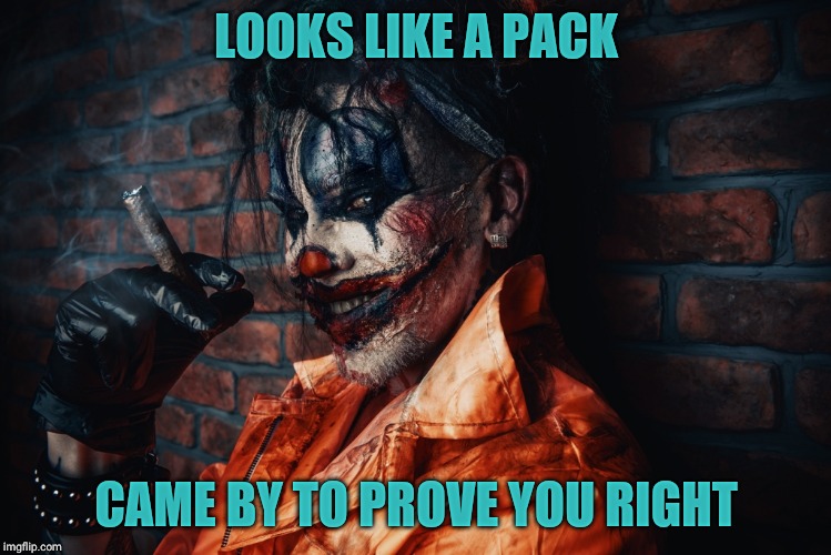 w | LOOKS LIKE A PACK CAME BY TO PROVE YOU RIGHT | image tagged in evil bloodstained clown | made w/ Imgflip meme maker