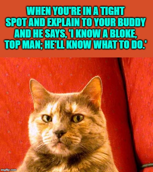 Suspicious Cat | WHEN YOU'RE IN A TIGHT SPOT AND EXPLAIN TO YOUR BUDDY AND HE SAYS, 'I KNOW A BLOKE, TOP MAN; HE'LL KNOW WHAT TO DO.' | image tagged in memes,suspicious cat | made w/ Imgflip meme maker