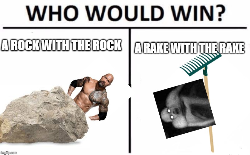 Who Would Win? Meme | A ROCK WITH THE ROCK; A RAKE WITH THE RAKE | image tagged in memes,who would win | made w/ Imgflip meme maker