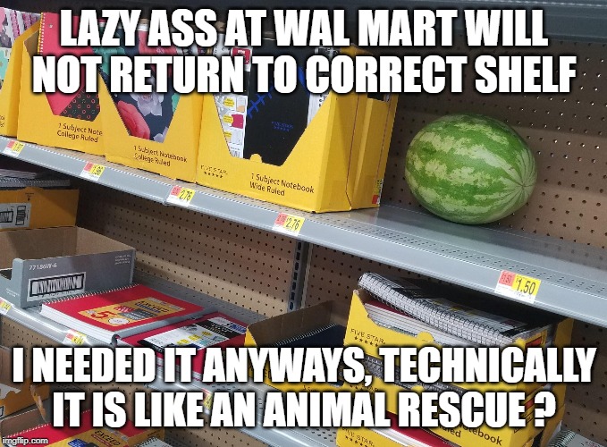 Wal Mart Pet peeves | LAZY ASS AT WAL MART WILL NOT RETURN TO CORRECT SHELF; I NEEDED IT ANYWAYS, TECHNICALLY IT IS LIKE AN ANIMAL RESCUE ? | image tagged in grocery store | made w/ Imgflip meme maker