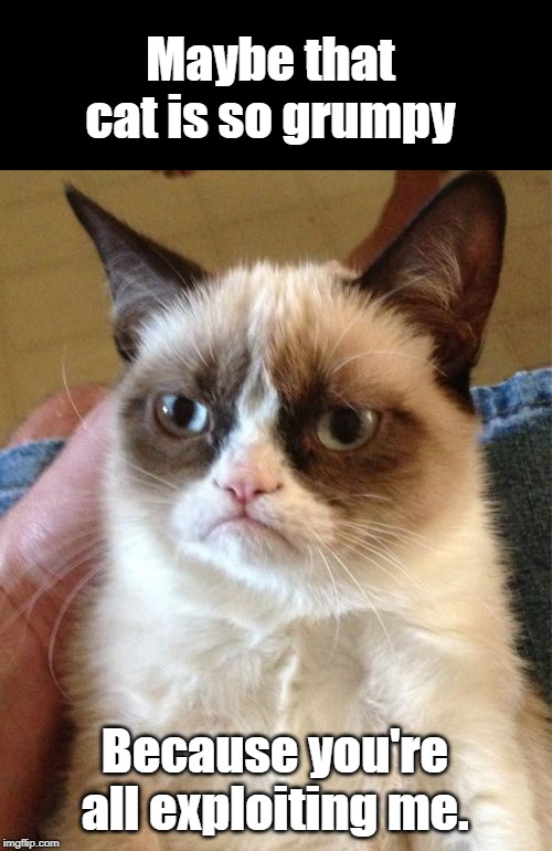 Grumpy Cat Meme | Maybe that cat is so grumpy; Because you're all exploiting me. | image tagged in memes,grumpy cat | made w/ Imgflip meme maker