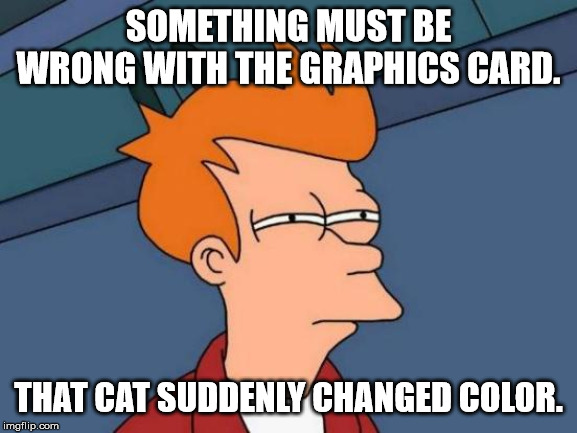 Futurama Fry Meme | SOMETHING MUST BE WRONG WITH THE GRAPHICS CARD. THAT CAT SUDDENLY CHANGED COLOR. | image tagged in memes,futurama fry | made w/ Imgflip meme maker