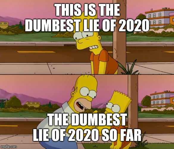 Simpsons so far | THIS IS THE DUMBEST LIE OF 2020; THE DUMBEST LIE OF 2020 SO FAR | image tagged in simpsons so far | made w/ Imgflip meme maker