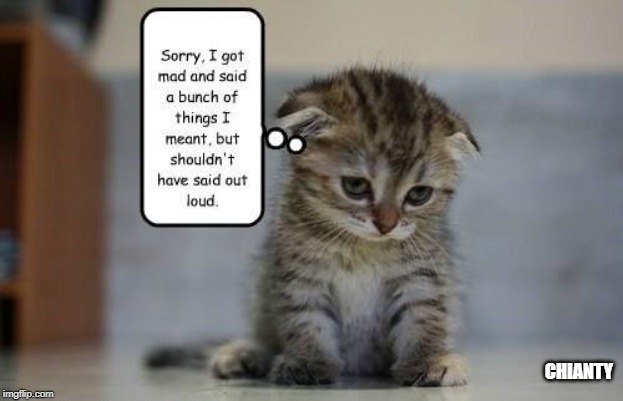 Sorry | CHIANTY | image tagged in all i said was | made w/ Imgflip meme maker