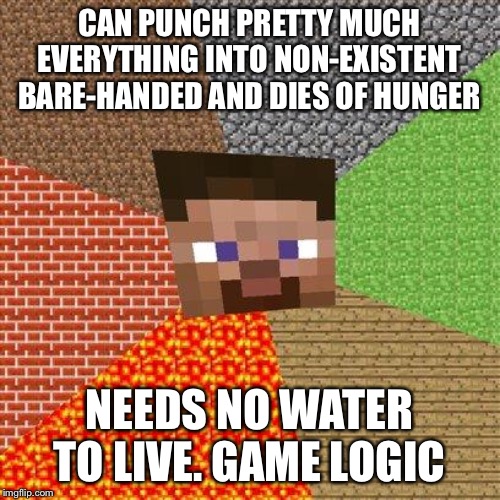 Minecraft Steve | CAN PUNCH PRETTY MUCH EVERYTHING INTO NON-EXISTENT BARE-HANDED AND DIES OF HUNGER; NEEDS NO WATER TO LIVE. GAME LOGIC | image tagged in minecraft steve | made w/ Imgflip meme maker