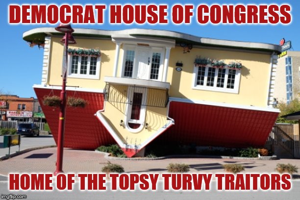 Common Sense or Bust! | DEMOCRAT HOUSE OF CONGRESS; HOME OF THE TOPSY TURVY TRAITORS | image tagged in memes,politics | made w/ Imgflip meme maker