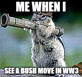 Bazooka Squirrel | ME WHEN I; SEE A BUSH MOVE IN WW3 | image tagged in memes,bazooka squirrel | made w/ Imgflip meme maker