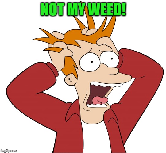 kewlew-fry | NOT MY WEED! | image tagged in kewlew-fry | made w/ Imgflip meme maker