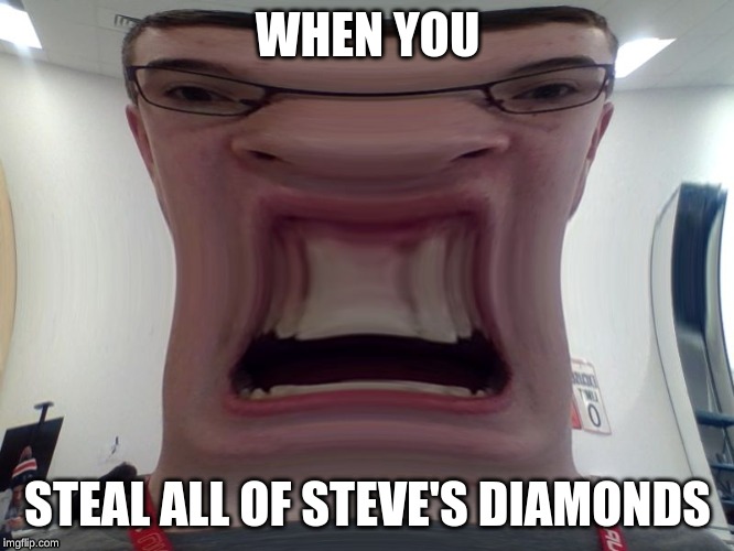 WHEN YOU; STEAL ALL OF STEVE'S DIAMONDS | image tagged in memes,minecraft,derp | made w/ Imgflip meme maker