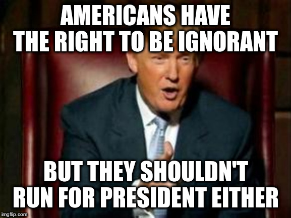 Donald Trump | AMERICANS HAVE THE RIGHT TO BE IGNORANT BUT THEY SHOULDN'T RUN FOR PRESIDENT EITHER | image tagged in donald trump | made w/ Imgflip meme maker