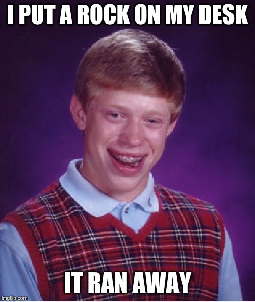 Bad Luck Brian | I PUT A ROCK ON MY DESK; IT RAN AWAY | image tagged in memes,bad luck brian | made w/ Imgflip meme maker