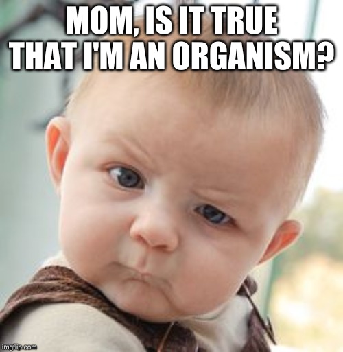 Skeptical Baby | MOM, IS IT TRUE THAT I'M AN ORGANISM? | image tagged in memes,skeptical baby | made w/ Imgflip meme maker