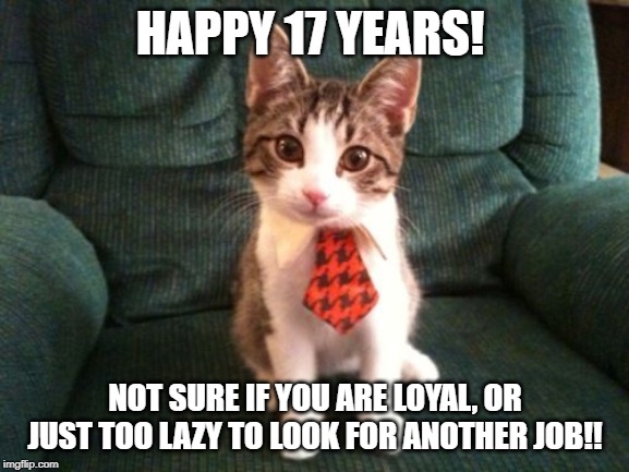 Happy Work Anniversary | HAPPY 17 YEARS! NOT SURE IF YOU ARE LOYAL, OR JUST TOO LAZY TO LOOK FOR ANOTHER JOB!! | image tagged in happy work anniversary | made w/ Imgflip meme maker