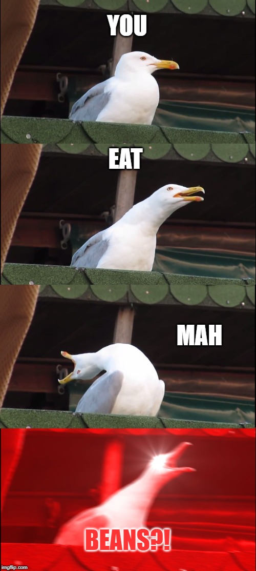 Inhaling Seagull | YOU; EAT; MAH; BEANS?! | image tagged in memes,inhaling seagull | made w/ Imgflip meme maker