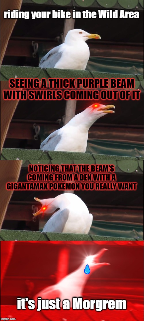 true story ;-; | riding your bike in the Wild Area; SEEING A THICK PURPLE BEAM WITH SWIRLS COMING OUT OF IT; NOTICING THAT THE BEAM'S COMING FROM A DEN WITH A GIGANTAMAX POKEMON YOU REALLY WANT; it's just a Morgrem | image tagged in memes,inhaling seagull,pokemon,pokemon sword and shield | made w/ Imgflip meme maker