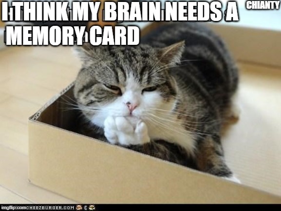 Can't recall | I THINK MY BRAIN NEEDS A
 MEMORY CARD; CHIANTY | image tagged in cards | made w/ Imgflip meme maker