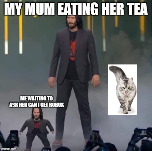 Keanu and Mini Keanu | MY MUM EATING HER TEA; ME WAITING TO ASK HER CAN I GET ROBUX | image tagged in keanu and mini keanu | made w/ Imgflip meme maker